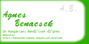 agnes benacsek business card